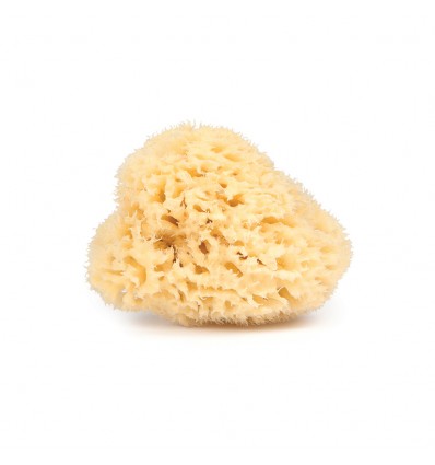 Eponge Naturelle de la Mer Najel